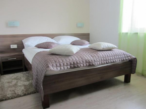 Villa Tollazzi Logatec
